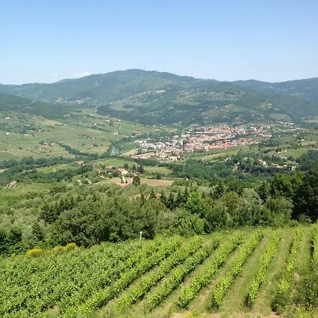 Prato Barone * Rufina